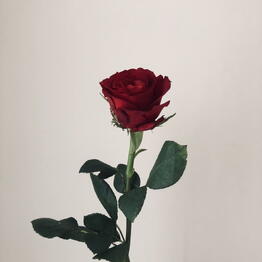 Flower boutique