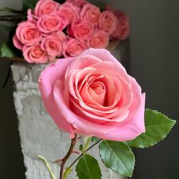 RI FLOWERS