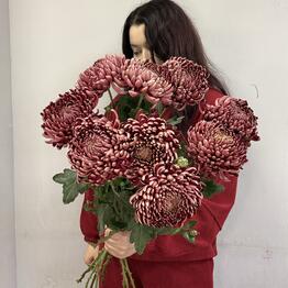 Цветы на Шлиссельбургском 