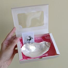 Лавка