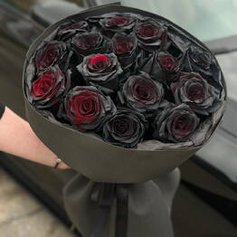 Red Roses 