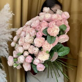 Santalina