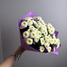 Volkova flowers