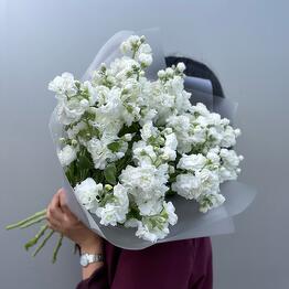 Bloomdecor x Rublevskiy