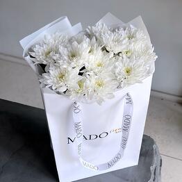 Mado