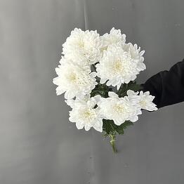 Bella Roza flovers