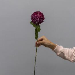 Florever