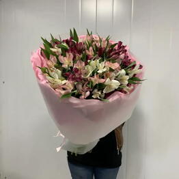 Elite Flowers