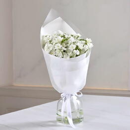 Flora Delivery