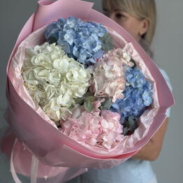 Meri Fiori