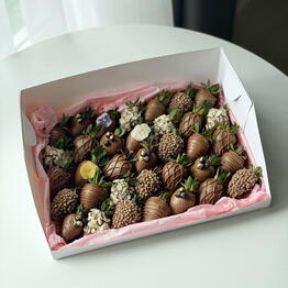 chocofruittmn