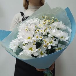 Ирис Blumen на Дуки
