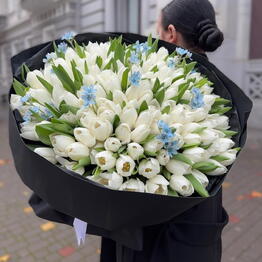 Art of Flowers