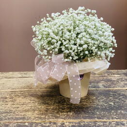 MarGoFlowers