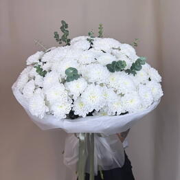 BloomFlow