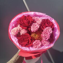 POMPON