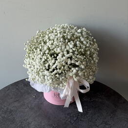 Kseni Flowers