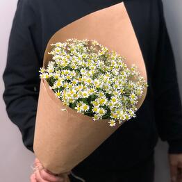 BEAUTY FLOWERS