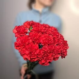 Флористик Про
