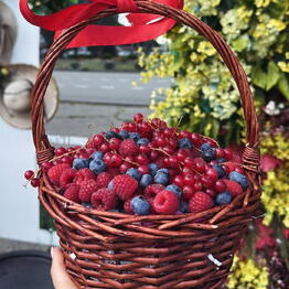 Best Flowers
