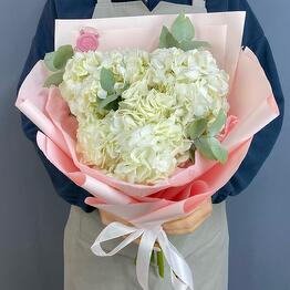 Milovini flowers