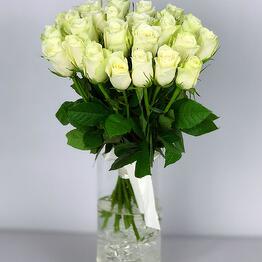 Элли Фиори