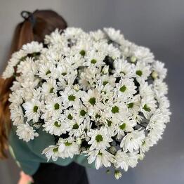 Lovely flowers
