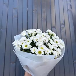 Balance  flowers