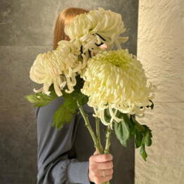 Le Bouquet 