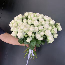 About Flowers 24