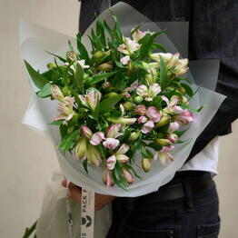 Pack Flowers