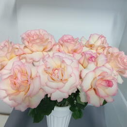 Helgaflowers