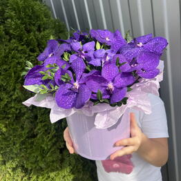 Royal Flora