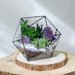 Florarium