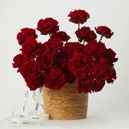 Rozen Dozen