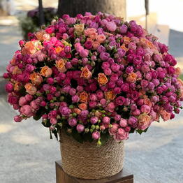Flora magia