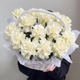 Fresh Flowers kzn