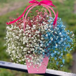 Flower_of_life_kanash