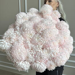 The Flowers 21