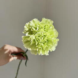 Flower heart