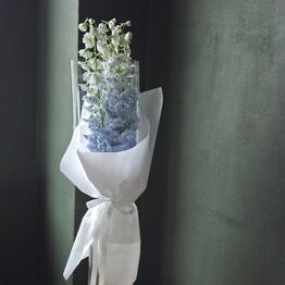 Flosmani