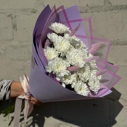 CROCUSS RU
