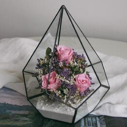 florariumy sevflomsk 