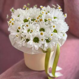Beautiful Flowers