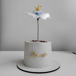 Pur.Pur.Cake