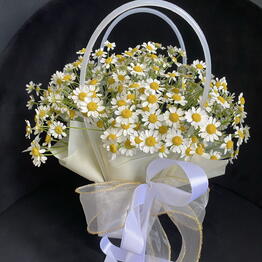 Samflowers