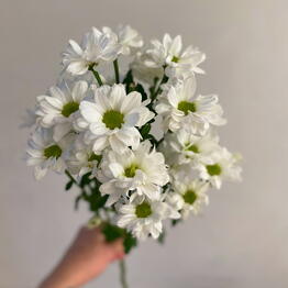 Eto_po_lyubvi.House flowers.