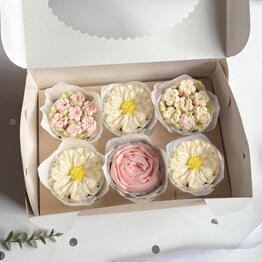 sonadorcake