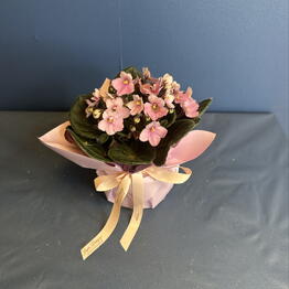 Zara Flower