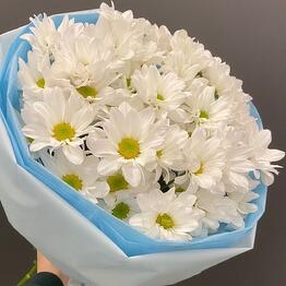 ROCOCO FLOWER